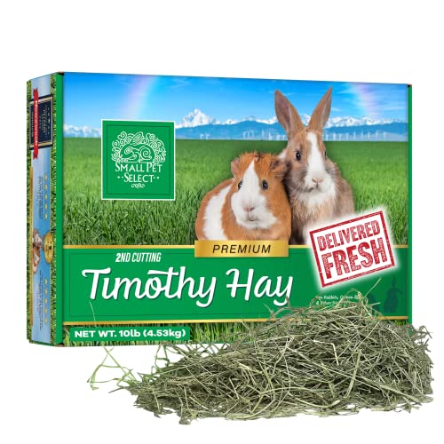 Small Pet Select 2nd Cutting Perfect Blend Timothy Hay Pet