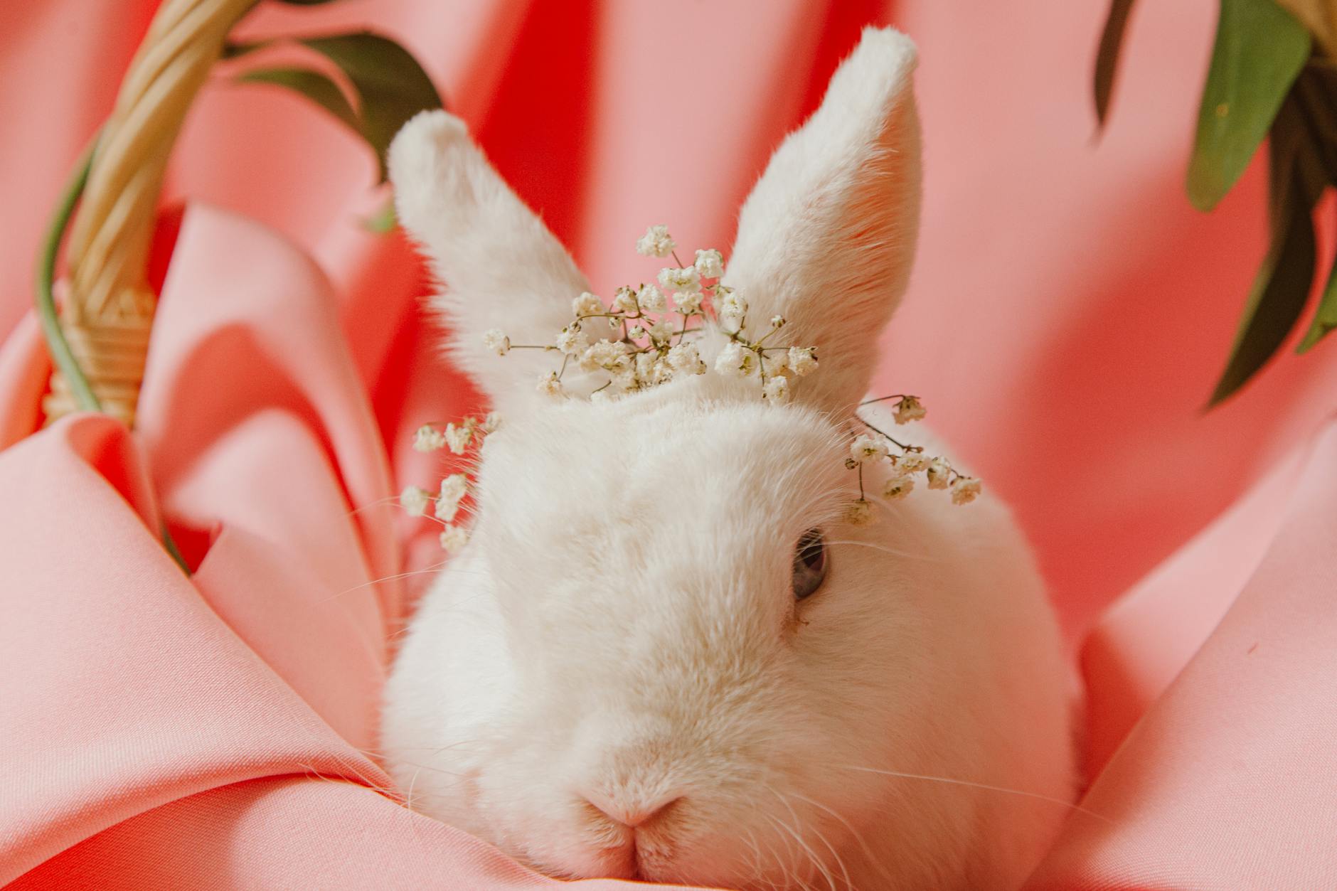 Adorable white rabbit with floral crown sits on pink fabric, embodying Easter charm.