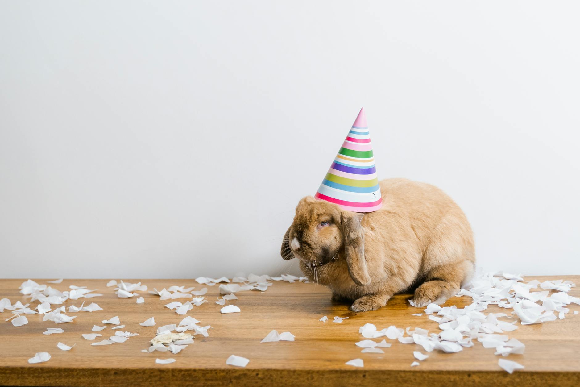 Cute brown rabbit wearing a colorful party hat, surrounded by confetti on a wooden table.