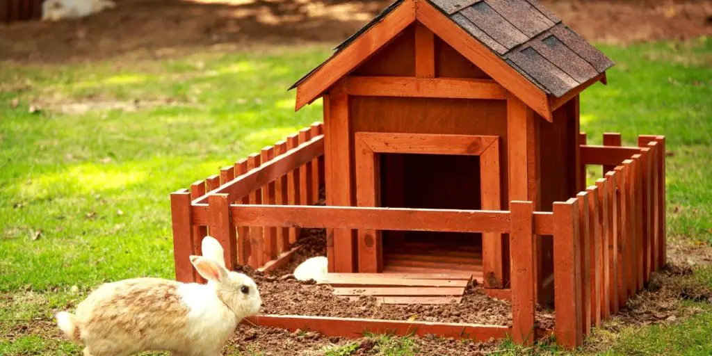 Custom Made Bunny Home