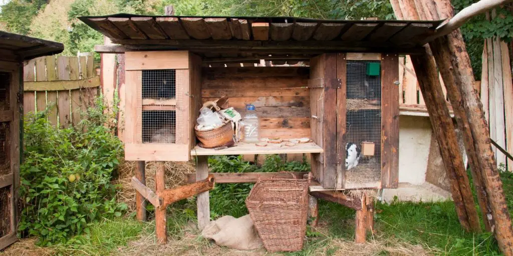 Custom Made Rabbit Hutch