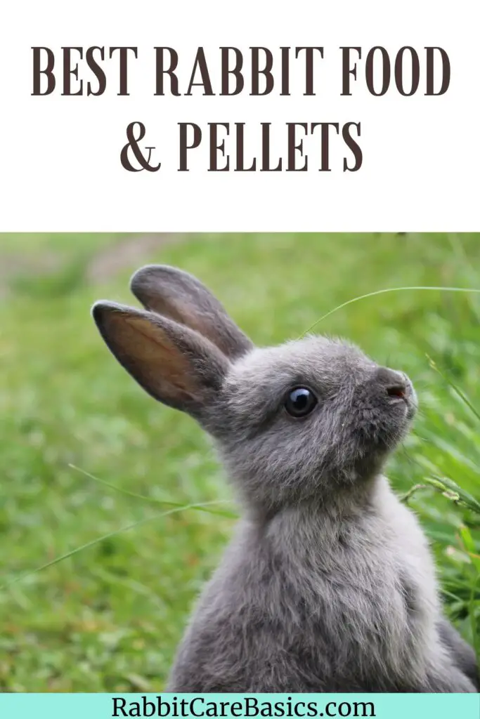 Best Rabbit Food & Pellets