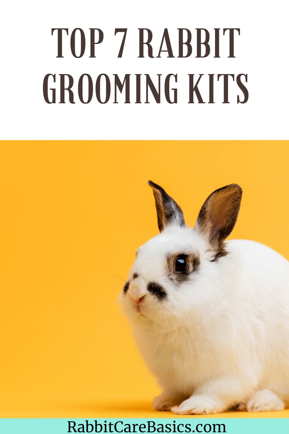 Top 7 Rabbit Grooming Kits - Reviews and Tips - Rabbit Care Basics